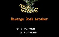 Twin Eagle