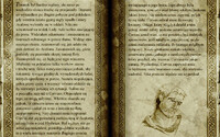 Siege of Avalon PL