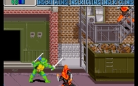 Teenage Mutant Ninja Turtles: Turtles in Time