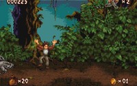 Pitfall: The Mayan Adventure